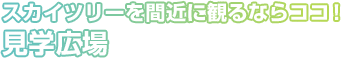 スカイツリーを間近に観るならココ!見学広場