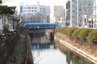 横十間川